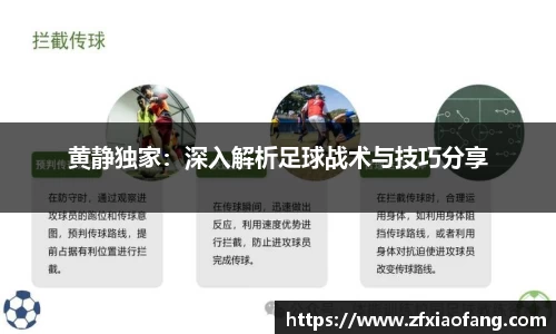 黄静独家：深入解析足球战术与技巧分享